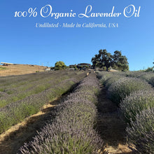 Load image into Gallery viewer, Organic Lavender Essential Oil, Made in California (5mL)