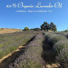 Load image into Gallery viewer, Soti Organic Lavender Essential Oil, Made in California USA, Undiluted 100% Pure Premium Grade Natural, for Aromatherapy, Diffusers, Relaxation, Bath, Sleep, Stress Relief, and Massage, 5 mL