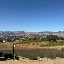 Load image into Gallery viewer, Soti Organic Lavender Essential Oil, Made in California USA, Undiluted 100% Pure Premium Grade Natural, for Aromatherapy, Diffusers, Relaxation, Bath, Sleep, Stress Relief, and Massage, 5 mL